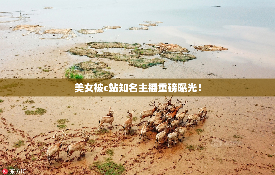 美女被c站知名主播重磅曝光！
