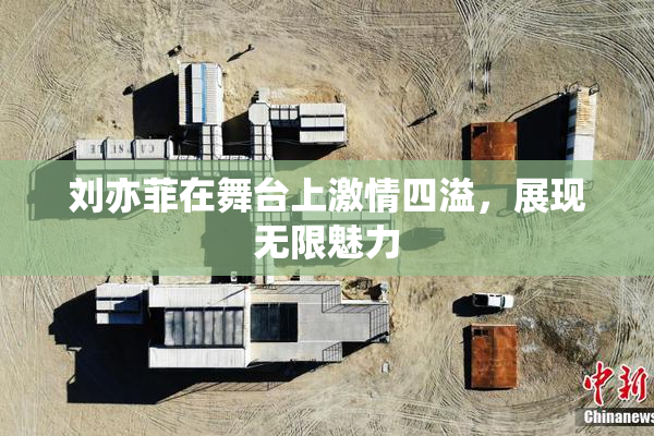 刘亦菲在舞台上激情四溢，展现无限魅力