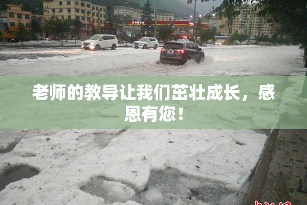 老师的教导让我们茁壮成长，感恩有您！