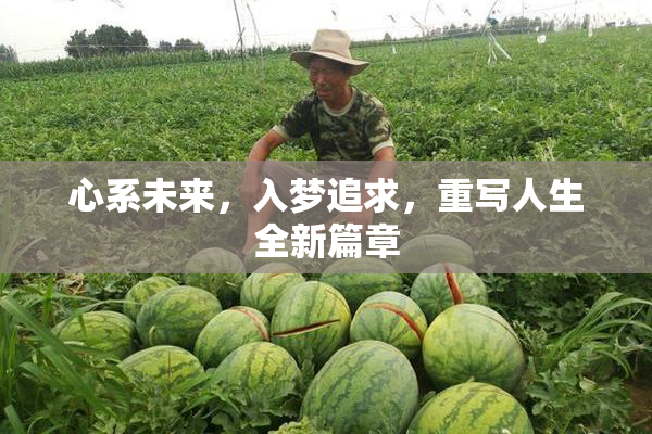 心系未来，入梦追求，重写人生全新篇章
