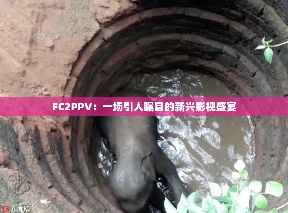 FC2PPV：一场引人瞩目的新兴影视盛宴