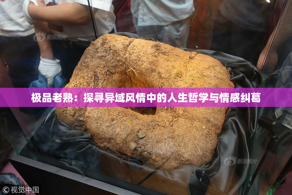 极品老熟：探寻异域风情中的人生哲学与情感纠葛