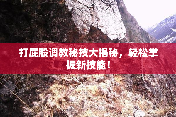 打屁股调教秘技大揭秘，轻松掌握新技能！