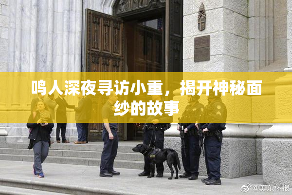 鸣人深夜寻访小重，揭开神秘面纱的故事