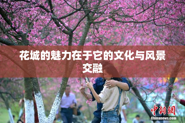 花城的魅力在于它的文化与风景交融