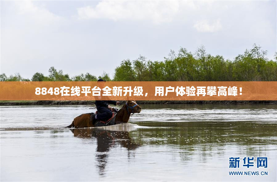 8848在线平台全新升级，用户体验再攀高峰！