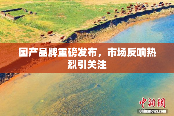 国产品牌重磅发布，市场反响热烈引关注