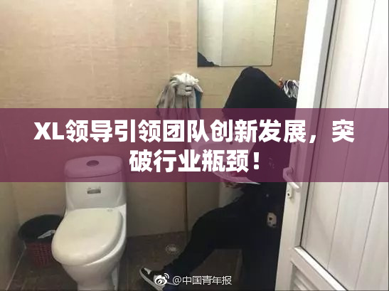 XL领导引领团队创新发展，突破行业瓶颈！