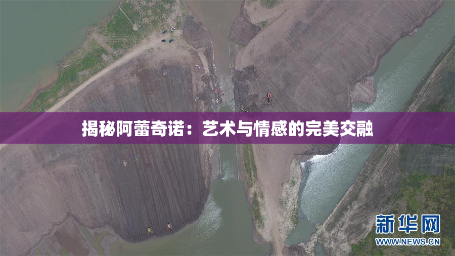 揭秘阿蕾奇诺：艺术与情感的完美交融