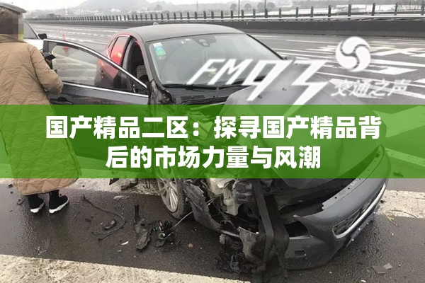 国产精品二区：探寻国产精品背后的市场力量与风潮