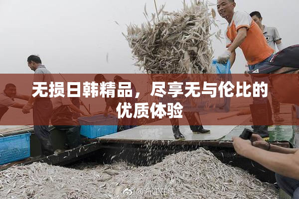 无损日韩精品，尽享无与伦比的优质体验