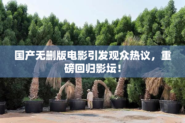 国产无删版电影引发观众热议，重磅回归影坛！