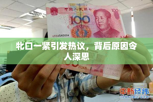牝口一紧引发热议，背后原因令人深思