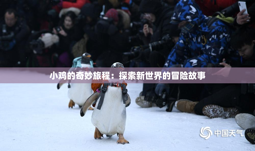 小鸡的奇妙旅程：探索新世界的冒险故事