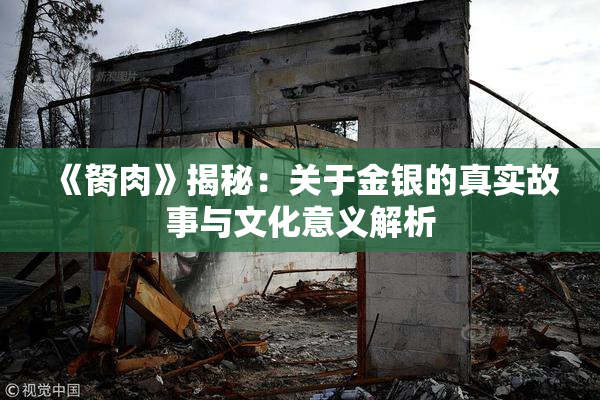 《胬肉》揭秘：关于金银的真实故事与文化意义解析