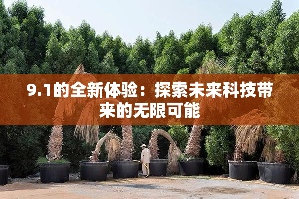 9.1的全新体验：探索未来科技带来的无限可能