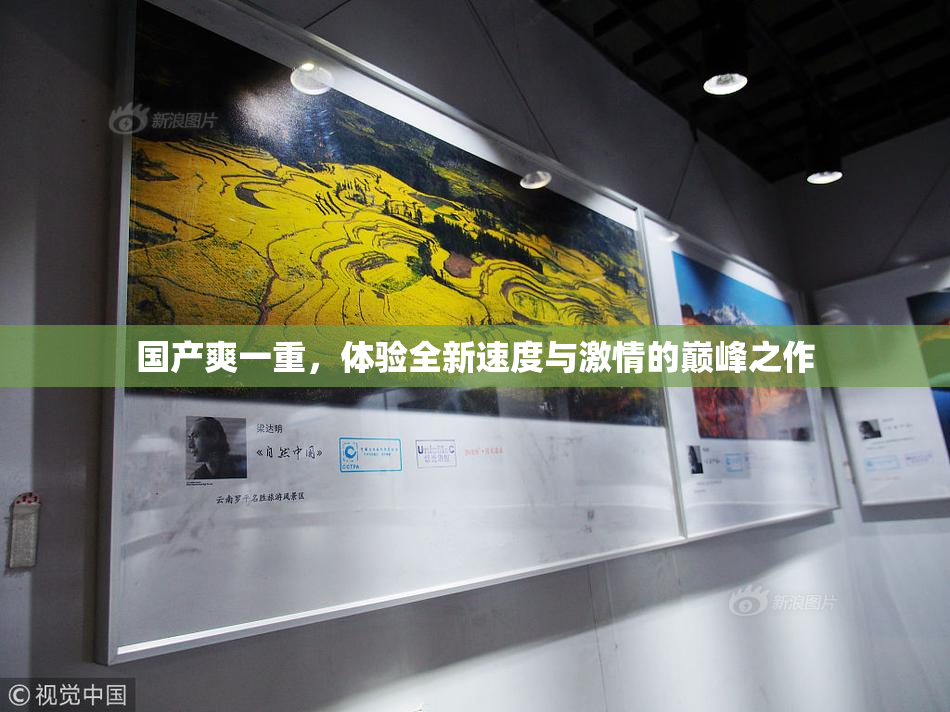 国产爽一重，体验全新速度与激情的巅峰之作