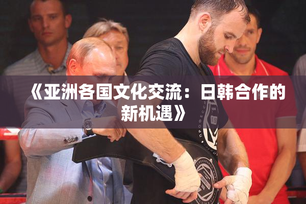 《亚洲各国文化交流：日韩合作的新机遇》