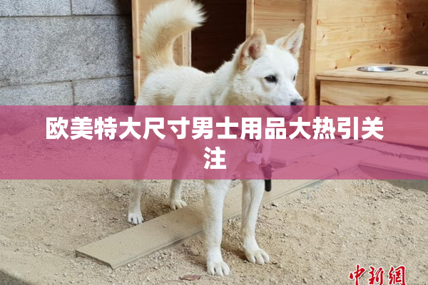 欧美特大尺寸男士用品大热引关注
