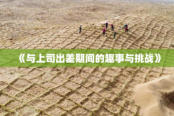 《与上司出差期间的趣事与挑战》