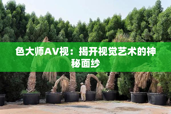色大师AV视：揭开视觉艺术的神秘面纱