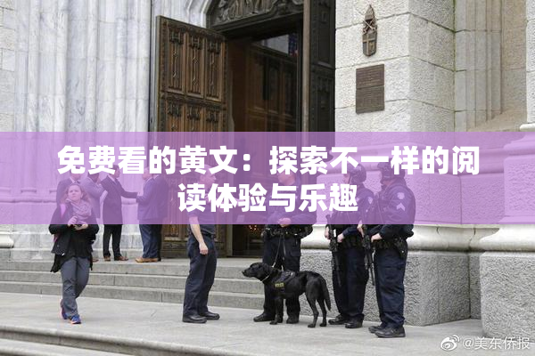 免费看的黄文：探索不一样的阅读体验与乐趣