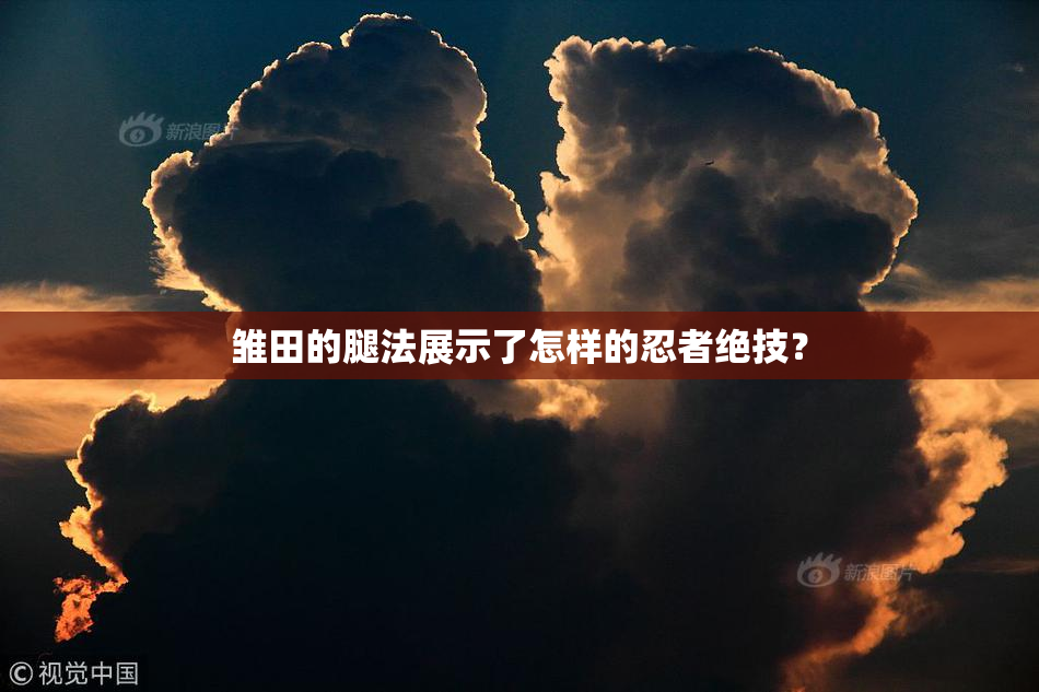 雏田的腿法展示了怎样的忍者绝技？