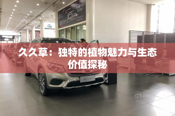 久久草：独特的植物魅力与生态价值探秘