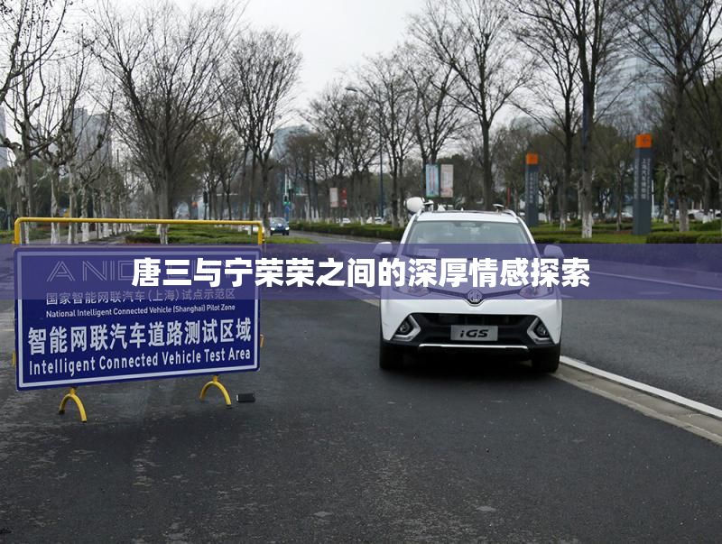唐三与宁荣荣之间的深厚情感探索