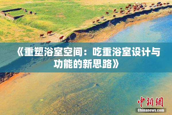 《重塑浴室空间：吃重浴室设计与功能的新思路》