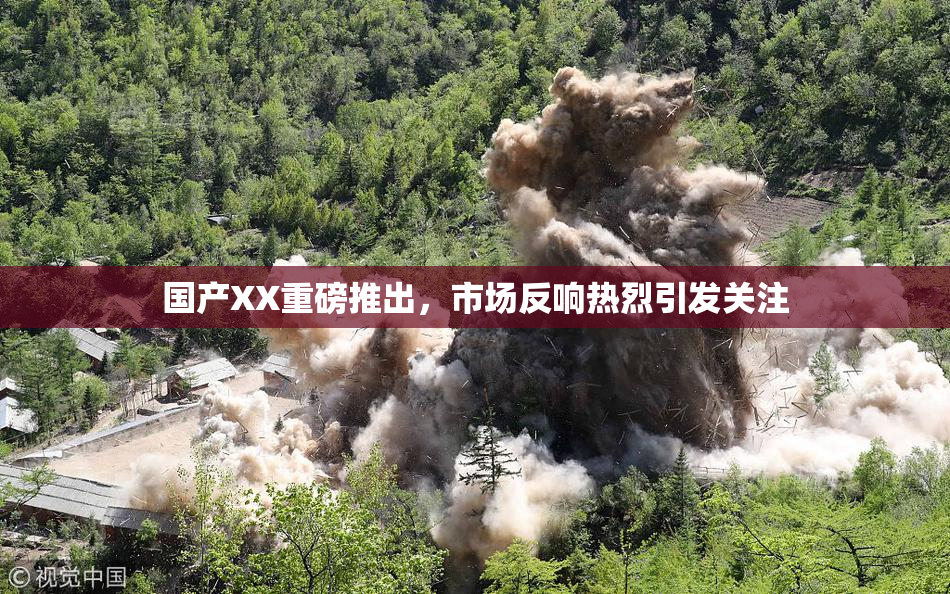 国产XX重磅推出，市场反响热烈引发关注