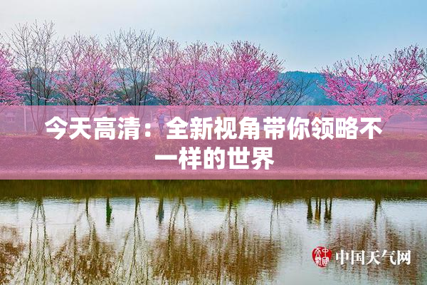 今天高清：全新视角带你领略不一样的世界
