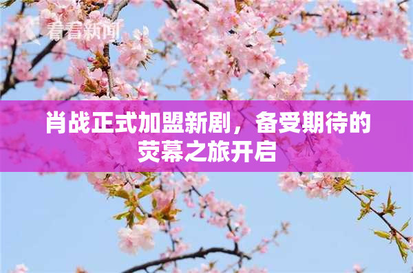 肖战正式加盟新剧，备受期待的荧幕之旅开启