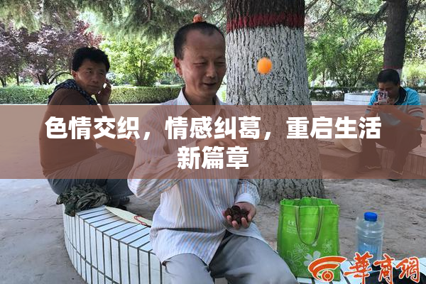 色情交织，情感纠葛，重启生活新篇章