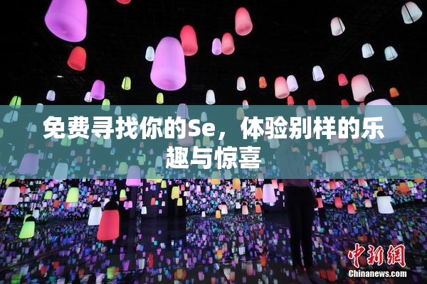 免费寻找你的Se，体验别样的乐趣与惊喜