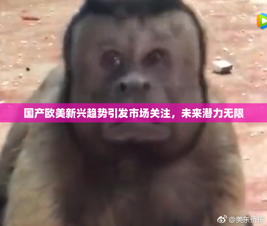 国产欧美新兴趋势引发市场关注，未来潜力无限