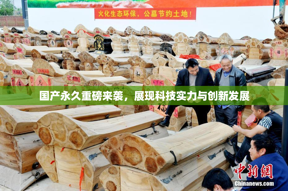 国产永久重磅来袭，展现科技实力与创新发展