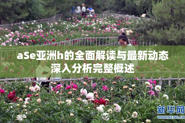 aSe亚洲h的全面解读与最新动态深入分析完整概述