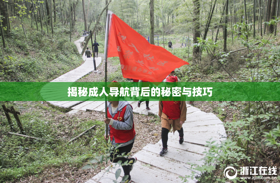 揭秘成人导航背后的秘密与技巧