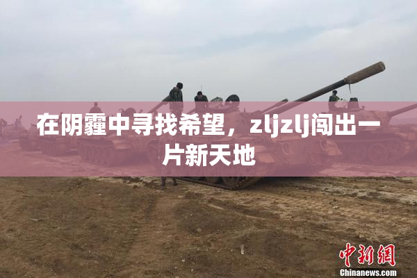 在阴霾中寻找希望，zljzlj闯出一片新天地