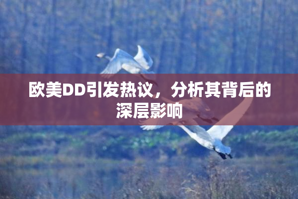 欧美DD引发热议，分析其背后的深层影响