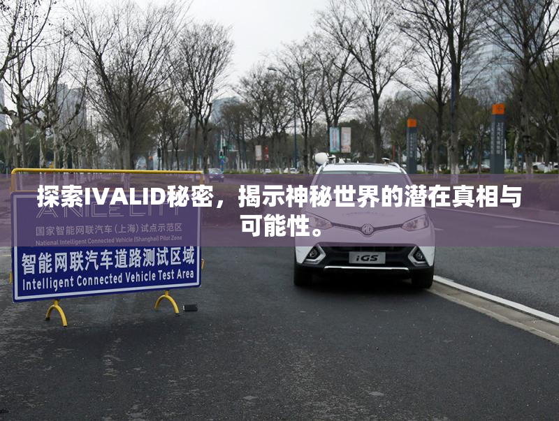 探索IVALID秘密，揭示神秘世界的潜在真相与可能性。