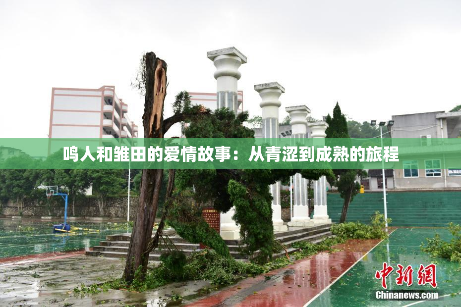 鸣人和雏田的爱情故事：从青涩到成熟的旅程