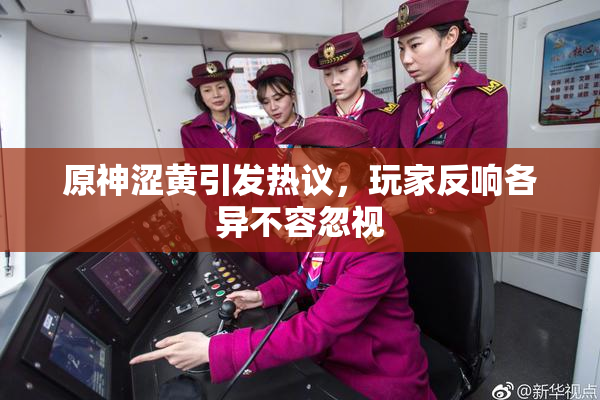 原神涩黄引发热议，玩家反响各异不容忽视