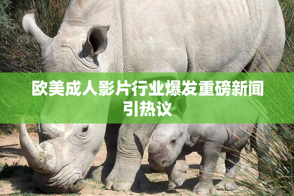 欧美成人影片行业爆发重磅新闻引热议