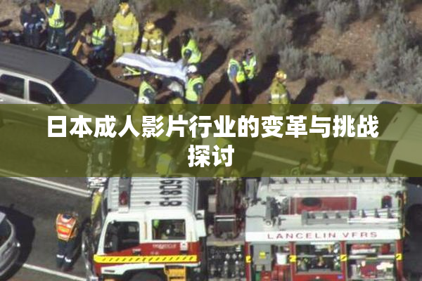 日本成人影片行业的变革与挑战探讨