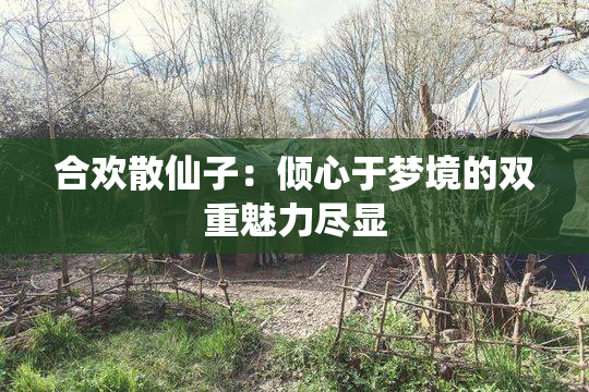 合欢散仙子：倾心于梦境的双重魅力尽显