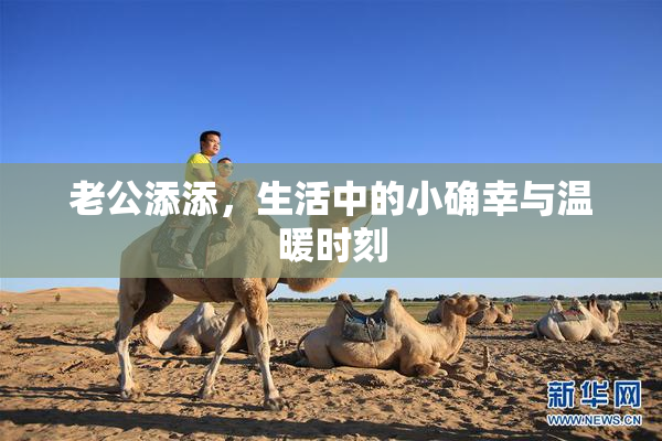 老公添添，生活中的小确幸与温暖时刻