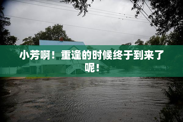 小芳啊！重逢的时候终于到来了呢！