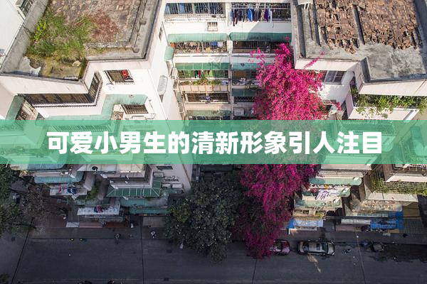 可爱小男生的清新形象引人注目